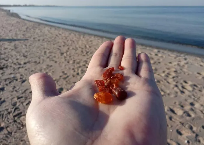 Bursztynowy Апартаменты Янтар